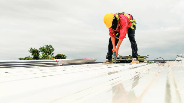 Best Gutter Installation and Repair  in Toro Nyon, CA