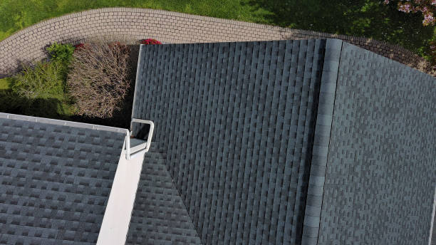 Best Roof Maintenance and Cleaning  in Toro Nyon, CA