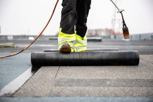 Best Asphalt Shingle Roofing  in Toro Nyon, CA