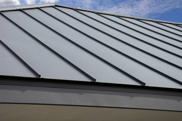 Best Roof Insulation Installation  in Toro Nyon, CA